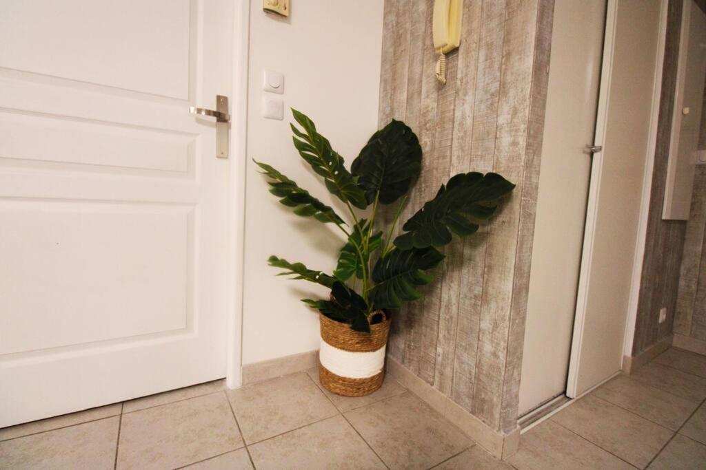 Palais De La Mer Yourhosthelper Apartment Antibes Ngoại thất bức ảnh
